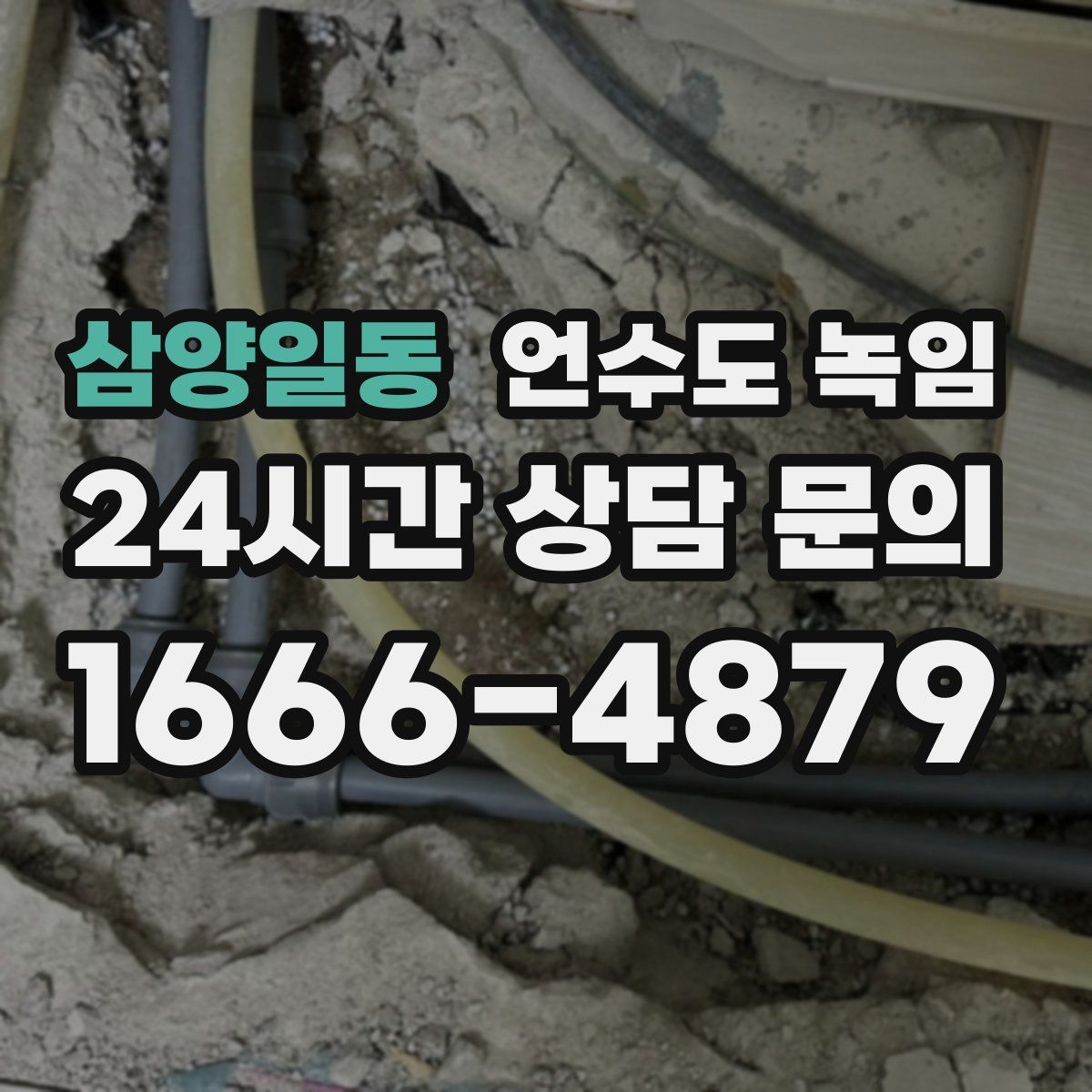 삼양일동 언수도 녹임