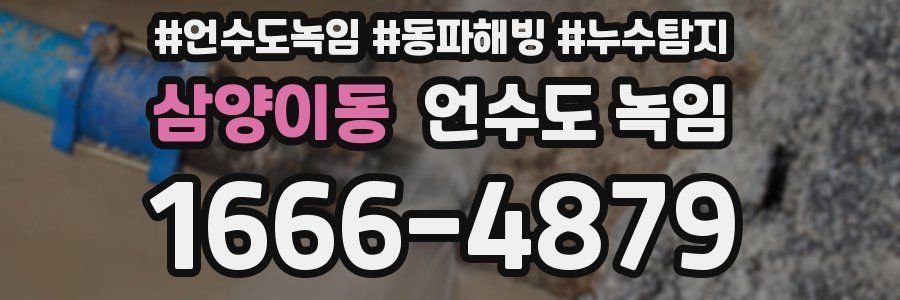 삼양이동 언수도 녹임