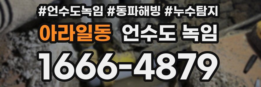 아라일동 언수도 녹임