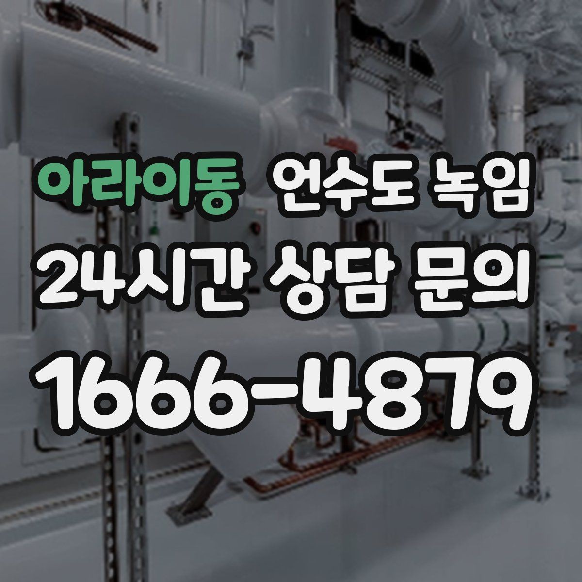 아라이동 언수도 녹임 장기간 외출 전 꼭 해야 할 수도 예방법