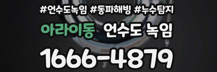 아라이동 언수도 녹임