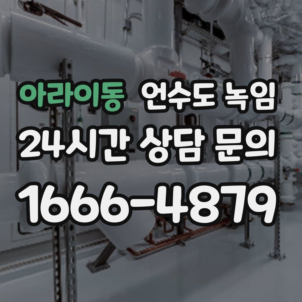아라이동 언수도 녹임