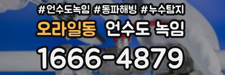 오라일동 언수도 녹임