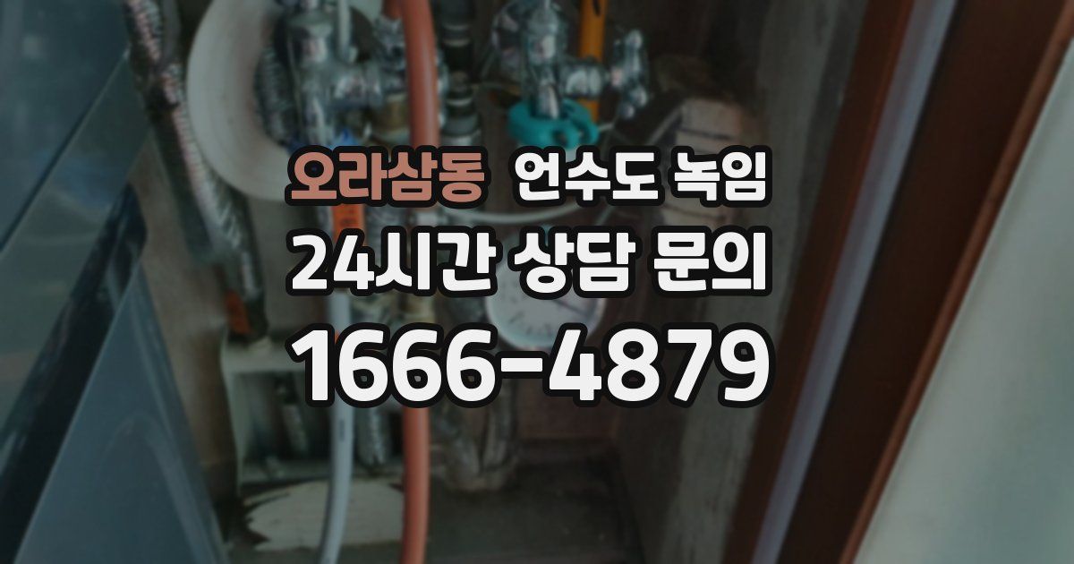 오라삼동 언수도 녹임