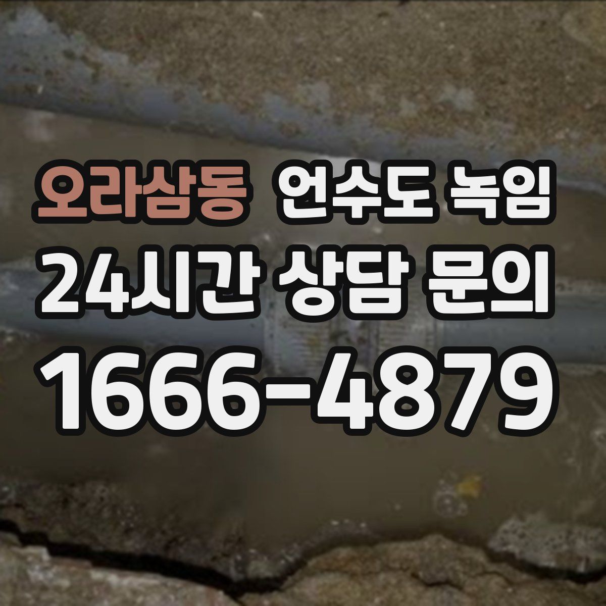 오라삼동 언수도 녹임