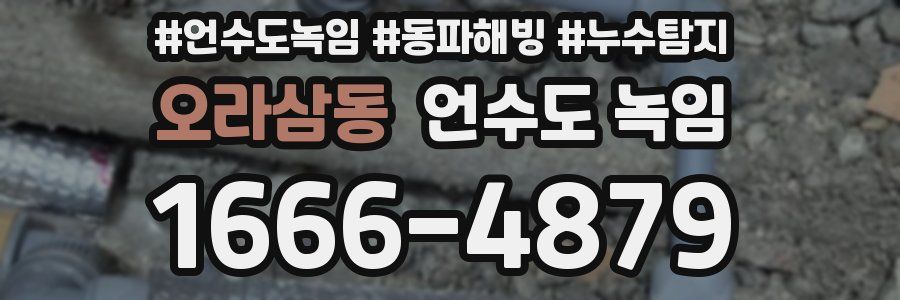 오라삼동 언수도 녹임