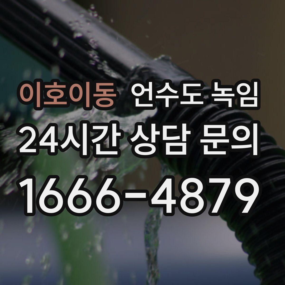 이호이동 언수도 녹임