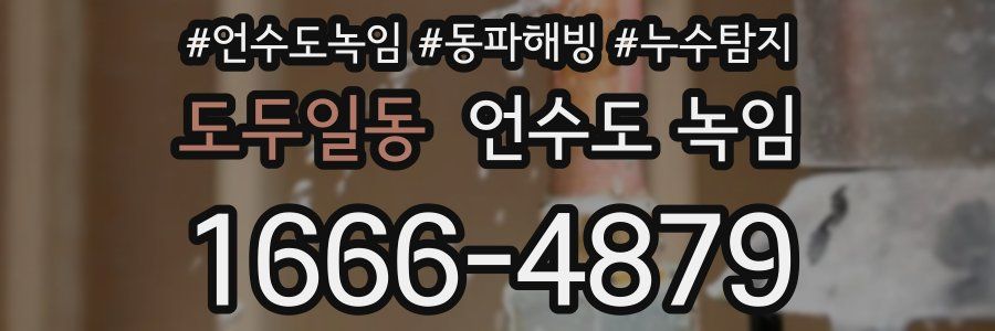 도두일동 언수도 녹임