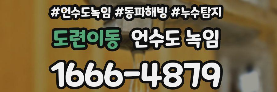 도련이동 언수도 녹임