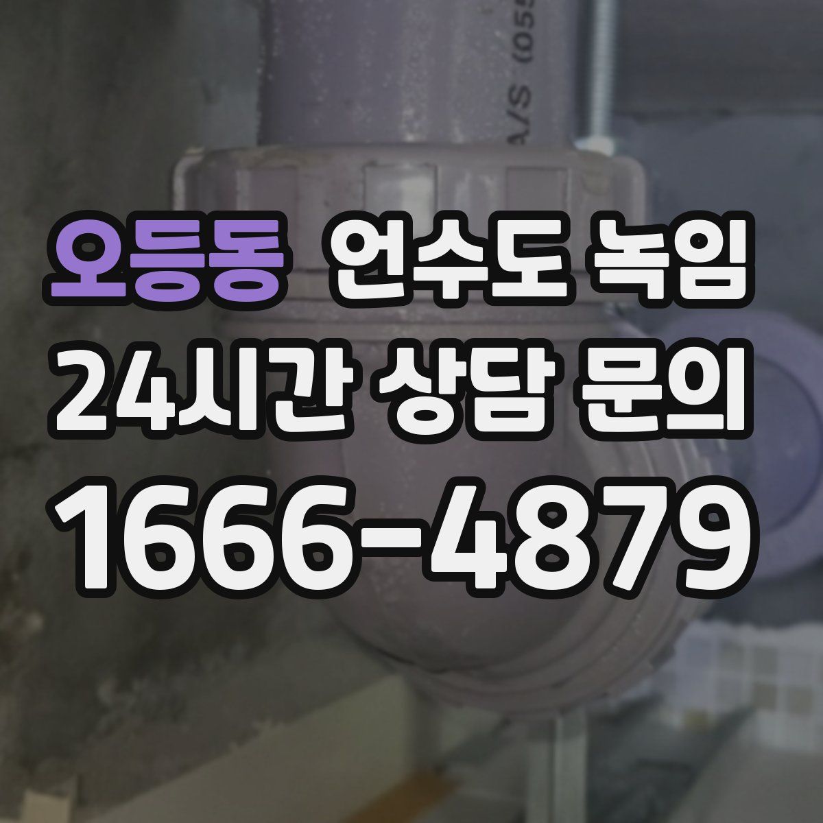 오등동 언수도 녹임