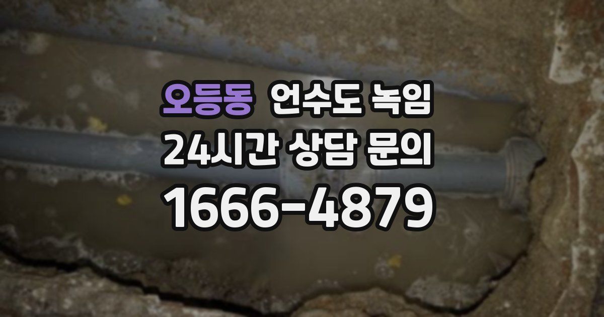 오등동 언수도 녹임