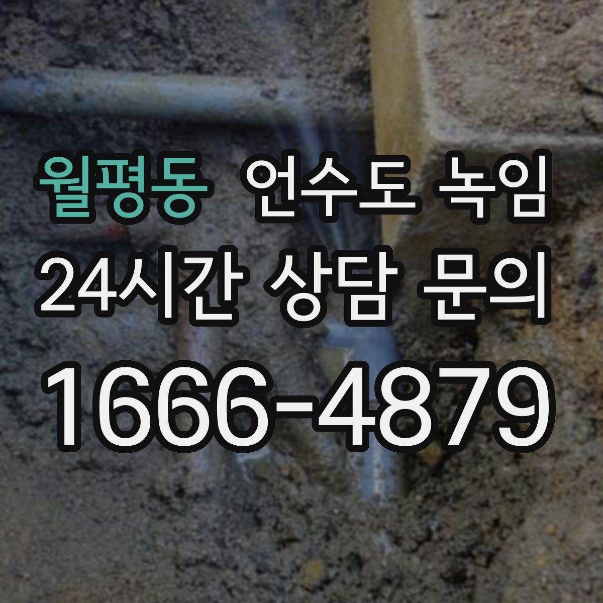 월평동 언수도 녹임