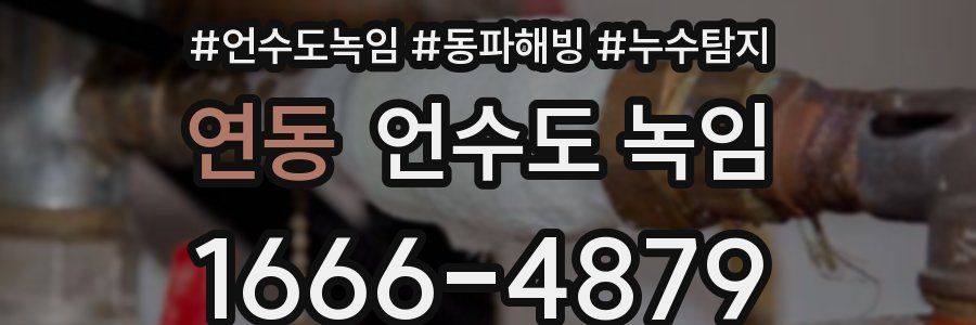 연동 언수도 녹임