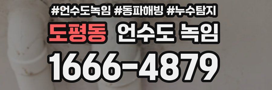 도평동 언수도 녹임