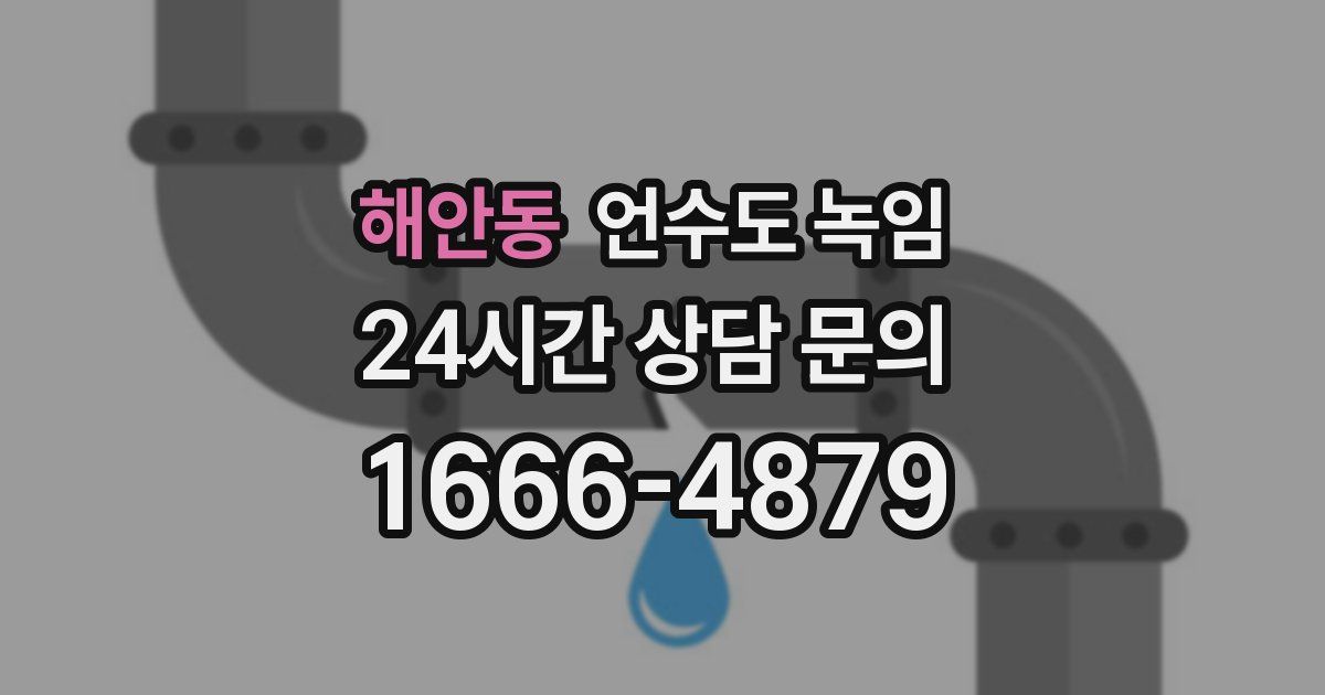 해안동 언수도 녹임