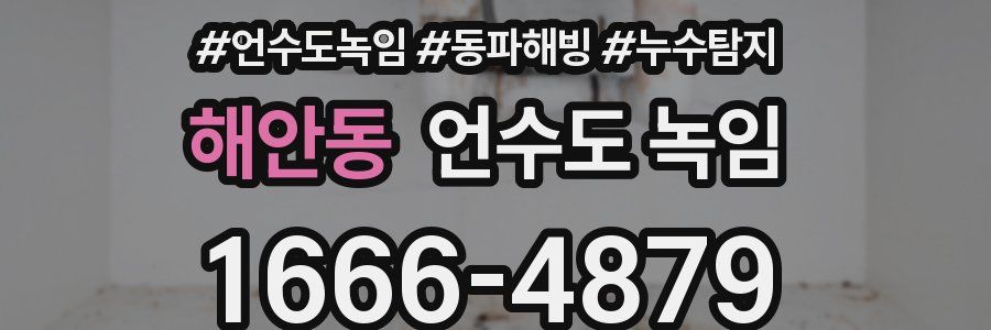 해안동 언수도 녹임