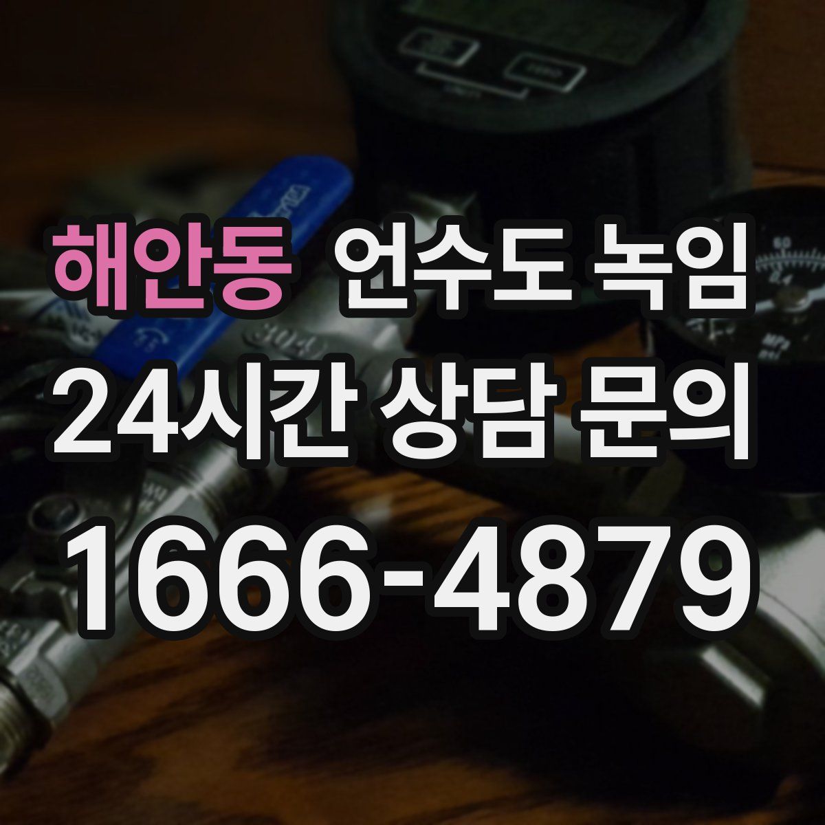 해안동 언수도 녹임