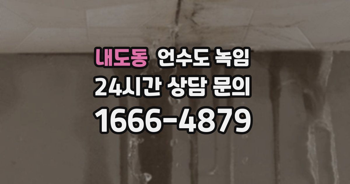 내도동 언수도 녹임