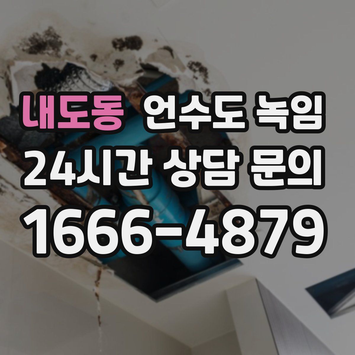 내도동 언수도 녹임