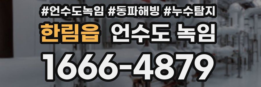 한림읍 언수도 녹임