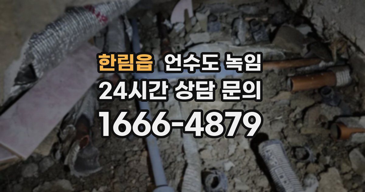 한림읍 언수도 녹임