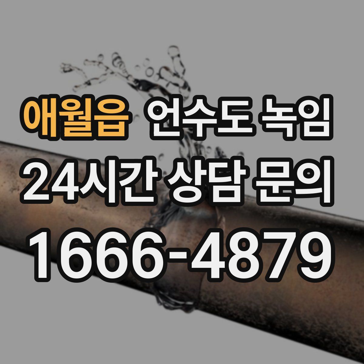 애월읍 언수도 녹임