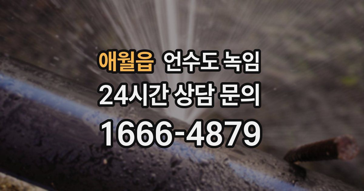 애월읍 언수도 녹임