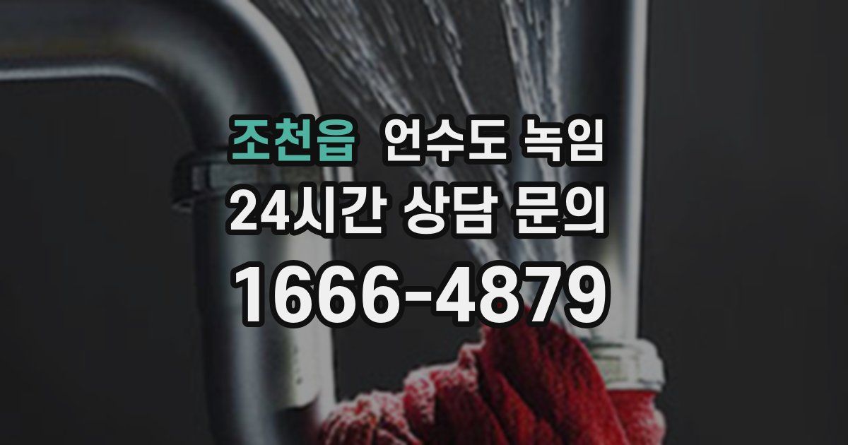 조천읍 언수도 녹임