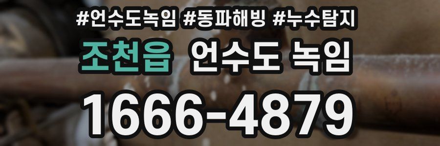 조천읍 언수도 녹임