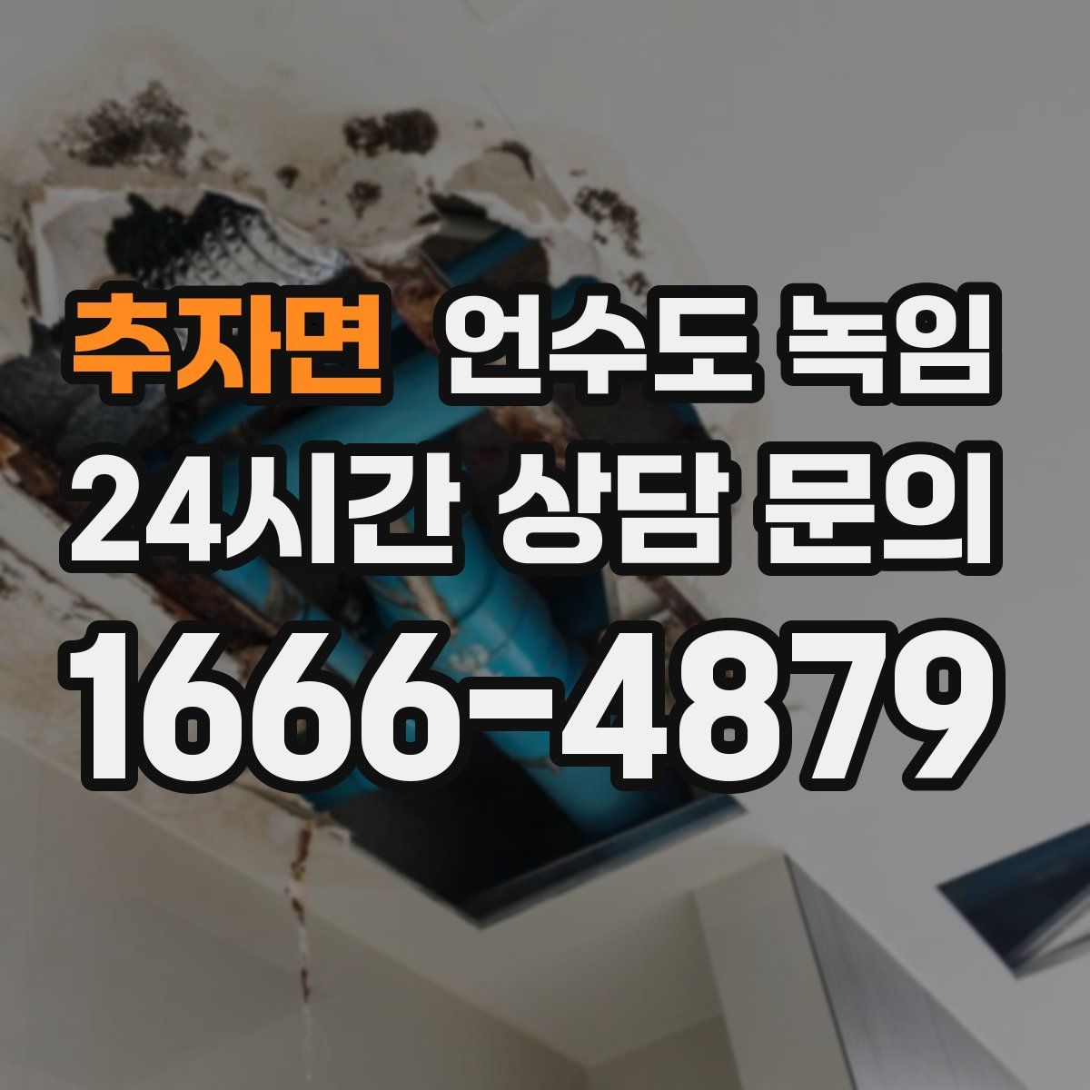 추자면 언수도 녹임