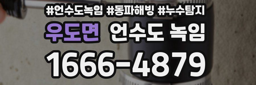 우도면 언수도 녹임