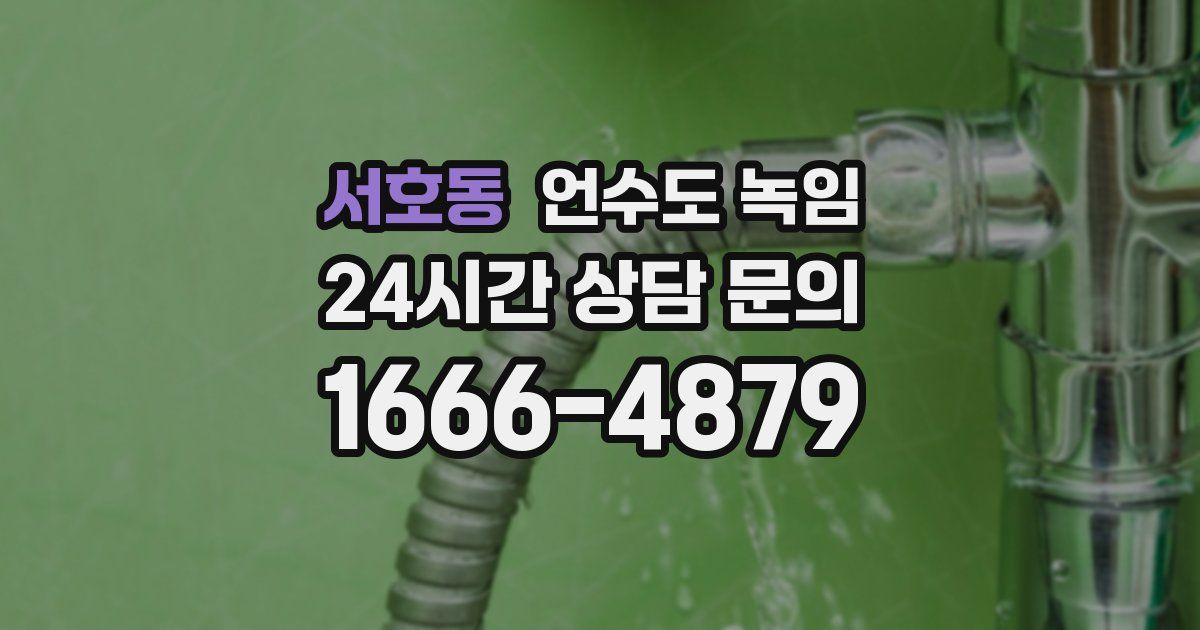 서호동 언수도 녹임