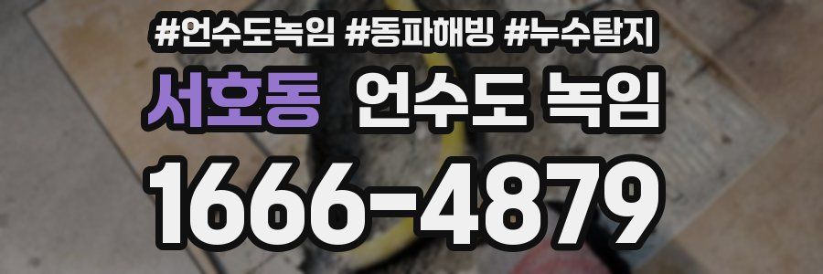 서호동 언수도 녹임