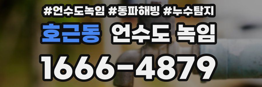 호근동 언수도 녹임