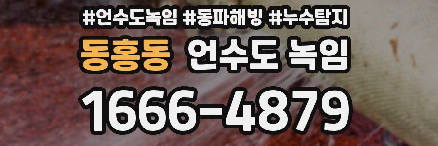 동홍동 언수도 녹임