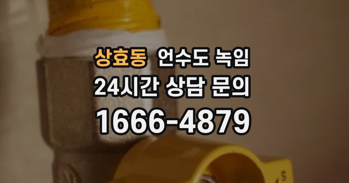 상효동 언수도 녹임