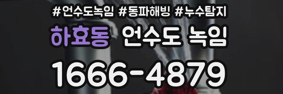 하효동 언수도 녹임