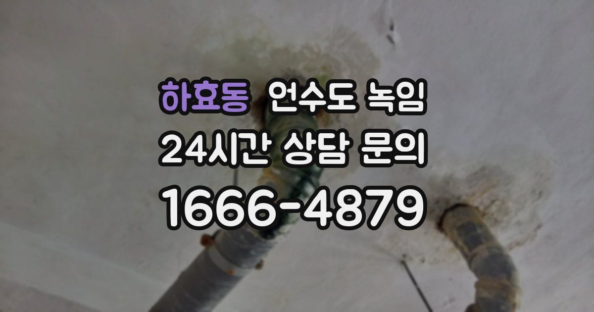 하효동 언수도 녹임