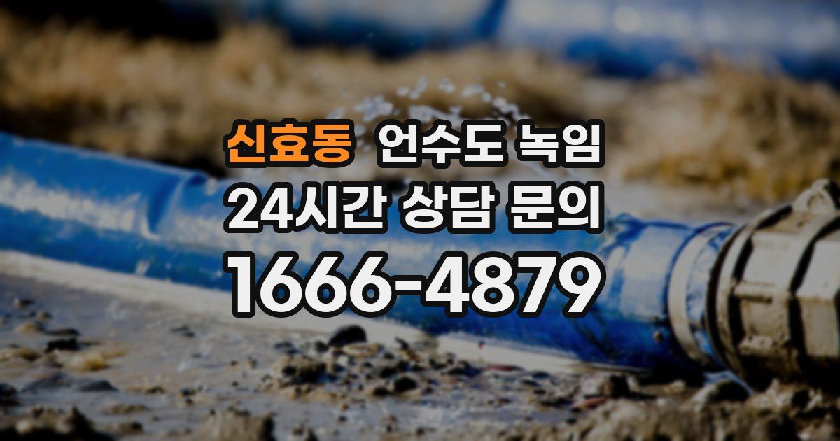 신효동 언수도 녹임