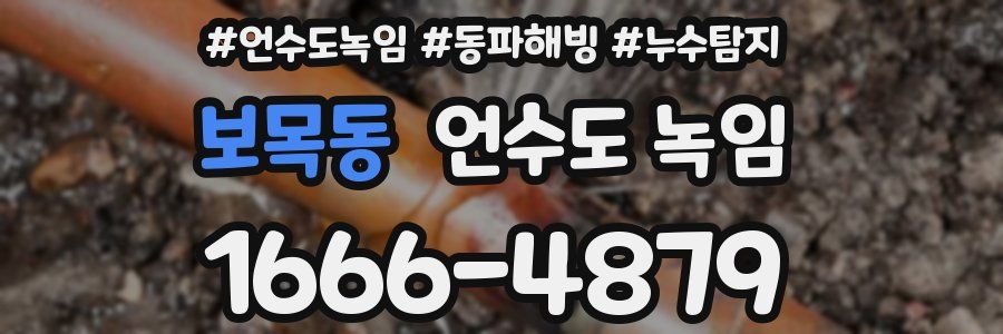 보목동 언수도 녹임