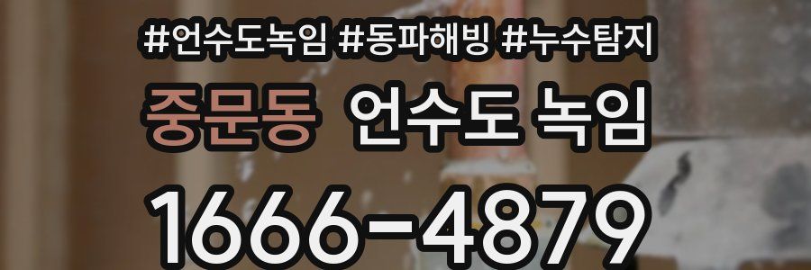 중문동 언수도 녹임
