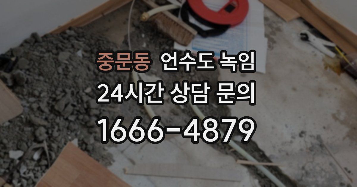 중문동 언수도 녹임