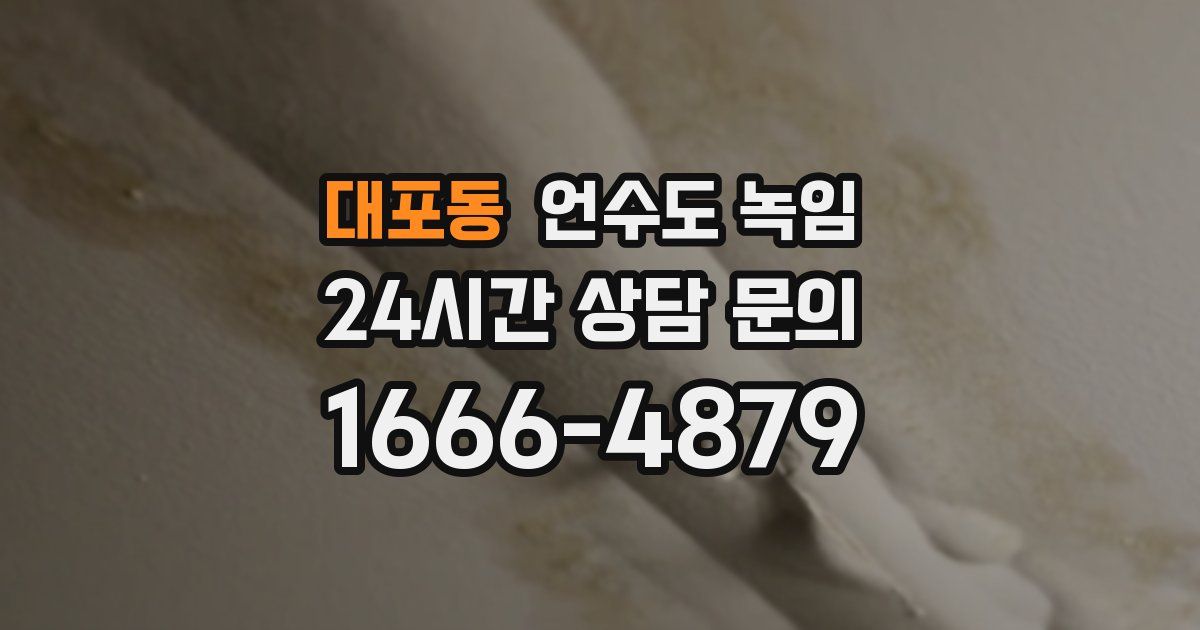 대포동 언수도 녹임