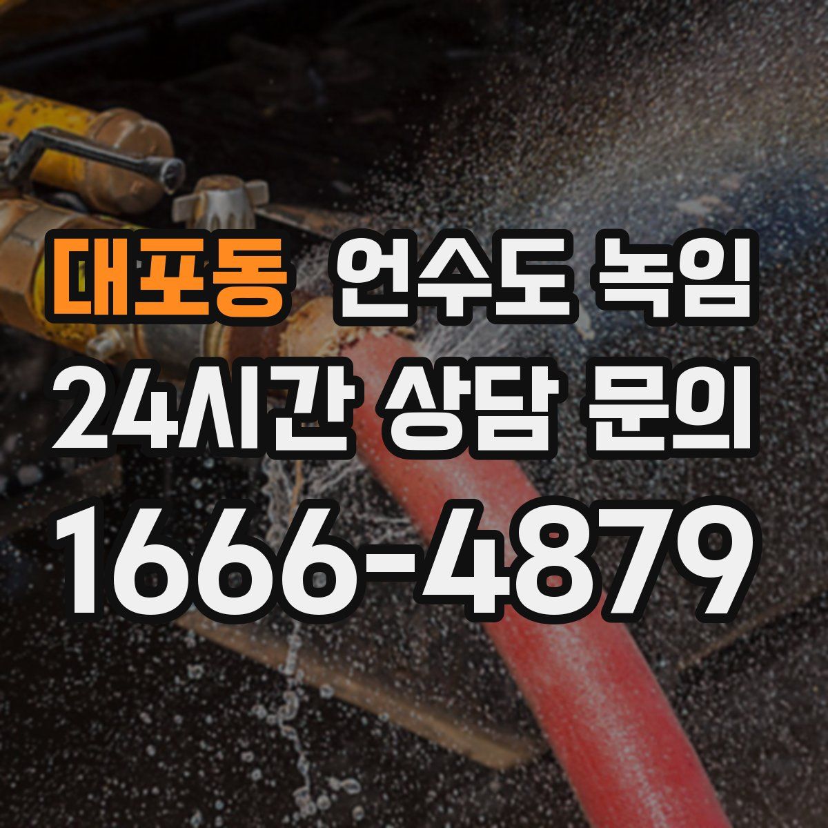 대포동 언수도 녹임