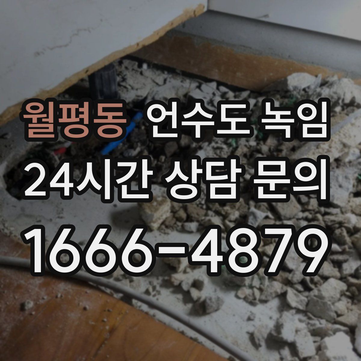 월평동 언수도 녹임