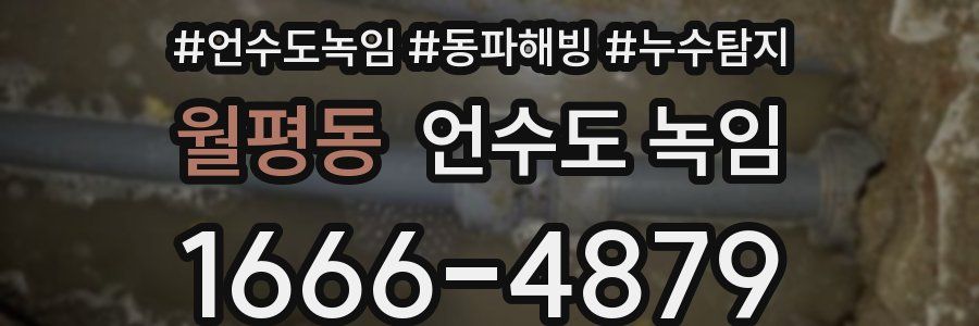 월평동 언수도 녹임