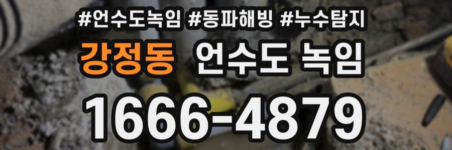 강정동 언수도 녹임