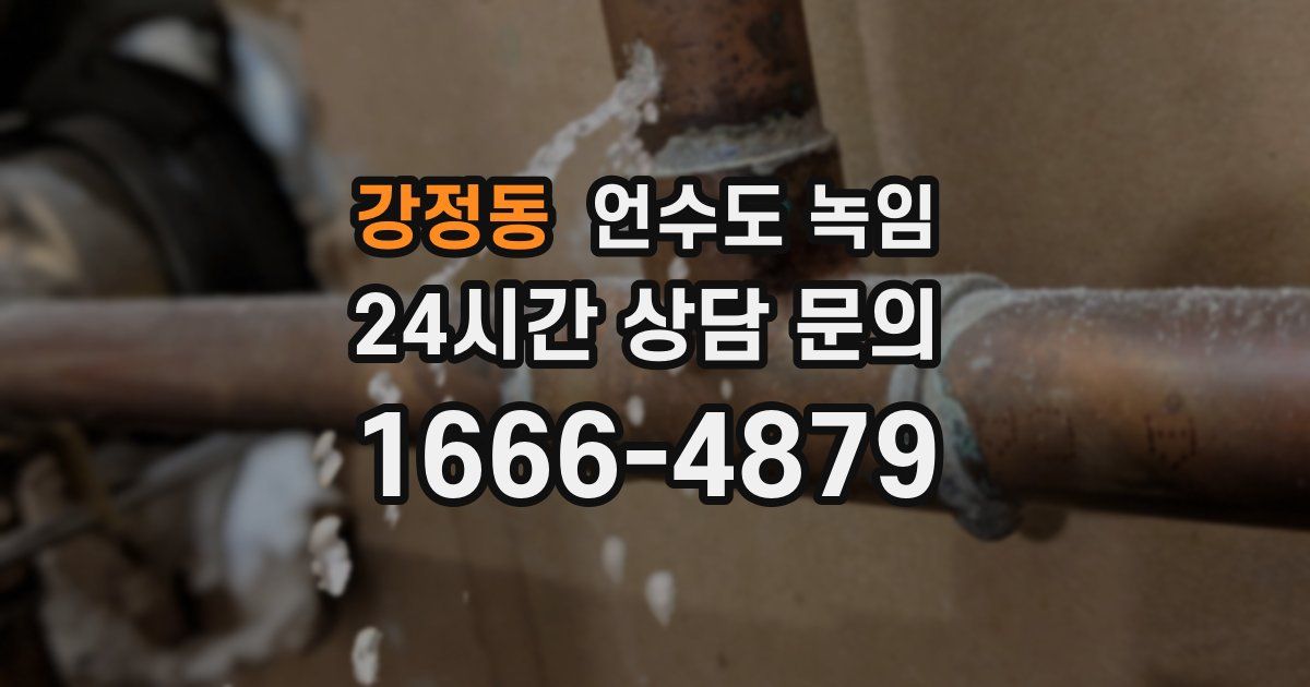 강정동 언수도 녹임