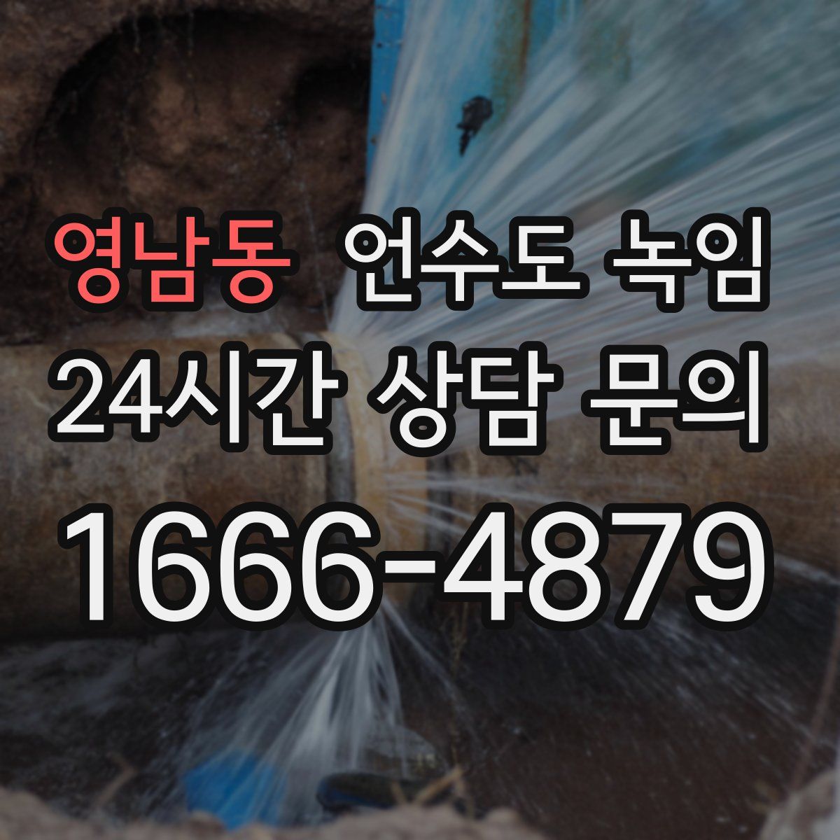 영남동 언수도 녹임