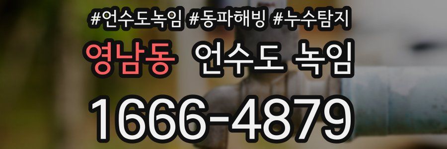 영남동 언수도 녹임